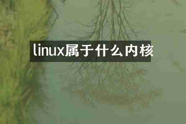 linux属于什么内核