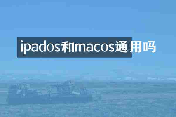 ipados和macos通用吗