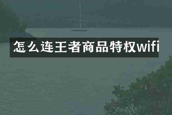 怎么连王者商品特权wifi