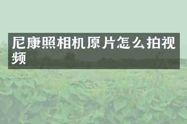 尼康照相机原片怎么拍视频