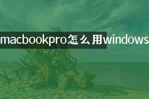macbookpro怎么用windows