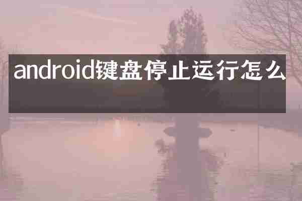android键盘停止运行怎么办
