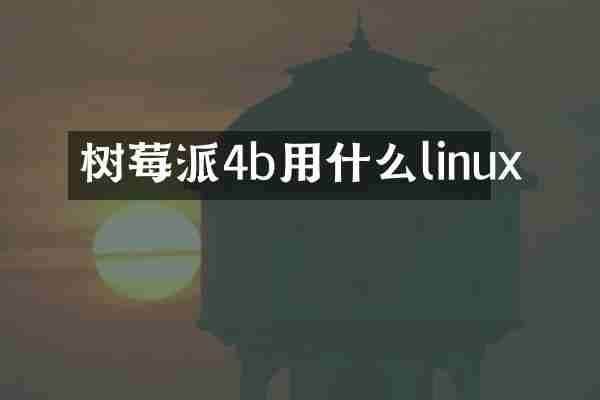 树莓派4b用什么linux