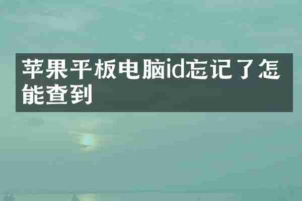 苹果平板电脑id忘记了怎么能查到