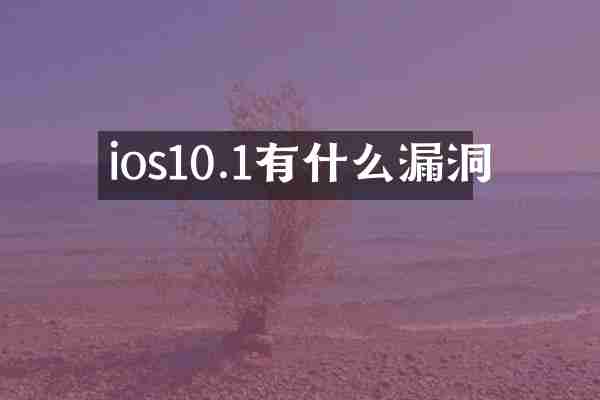 ios10.1有什么漏洞