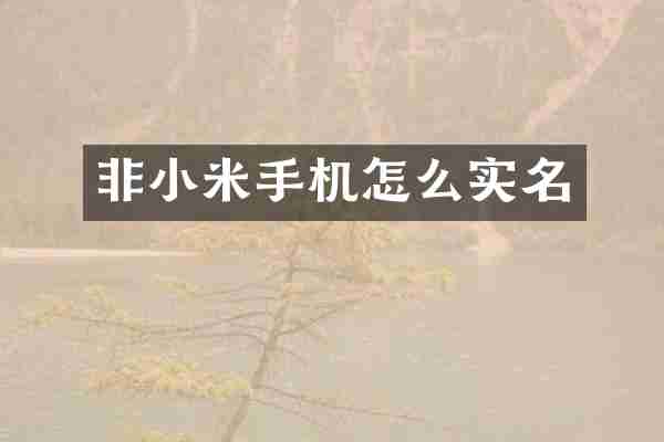 非小米手机怎么实名