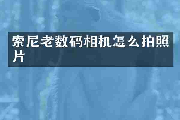 老数码相机怎么拍照片