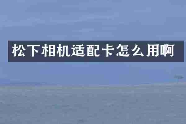相机适配卡怎么用啊