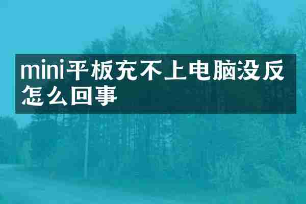 mini平板充不上电脑没反应怎么回事