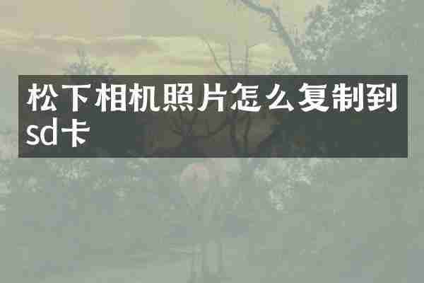松下相机照片怎么复制到sd卡