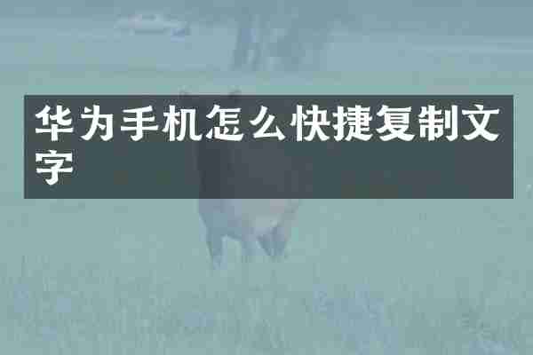 华为手机怎么快捷复制文字