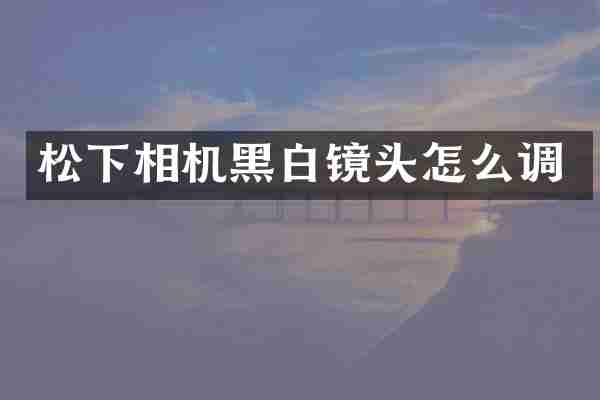 相机黑白镜头怎么调