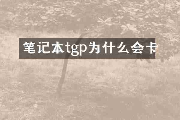 笔记本tgp为什么会卡