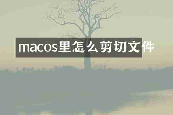 macos里怎么剪切文件