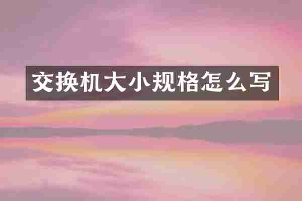 交换机大小规格怎么写