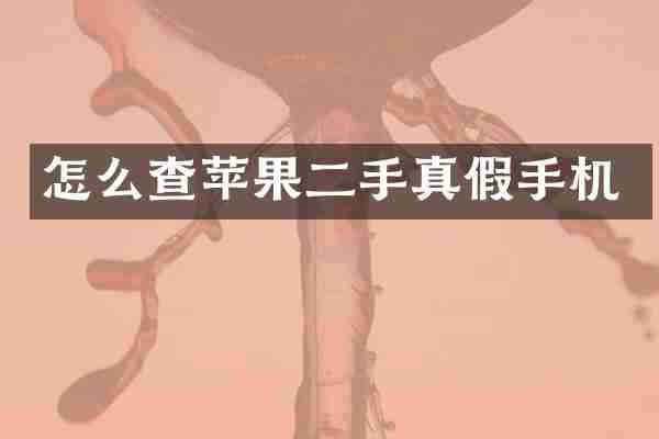 怎么查苹果二手真假手机