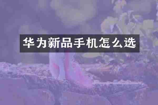 华为新品手机怎么选