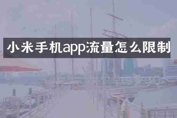 小米手机app流量怎么限制