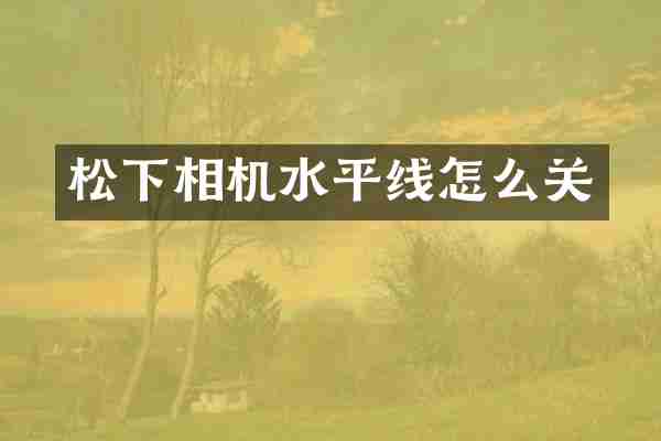 松下相机水平线怎么关