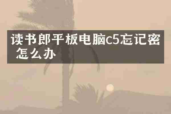 读书郎平板电脑c5忘记密码怎么办