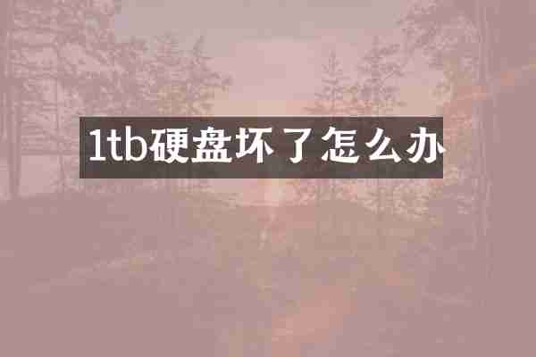 1tb硬盘坏了怎么办