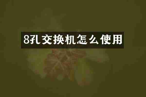 8孔交换机怎么使用