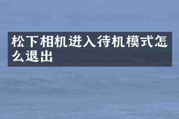 松下相机进入待机模式怎么退出