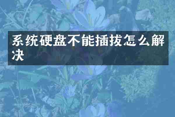 系统硬盘不能插拔怎么解决