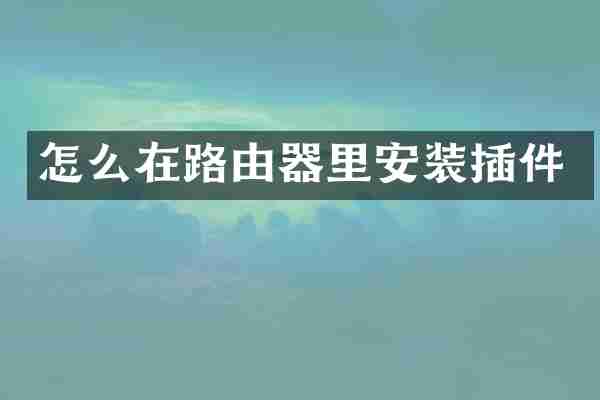 怎么在路由器里安装插件