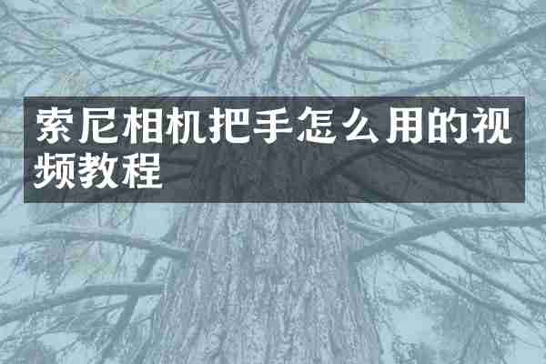 相机把手怎么用的视频教程