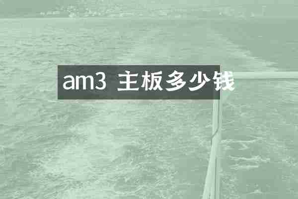 am3 主板多少钱