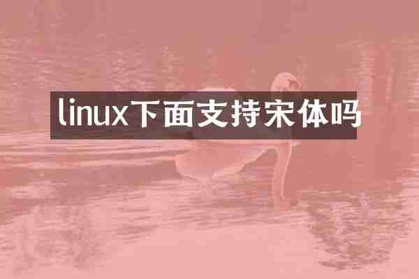 linux下面支持宋体吗