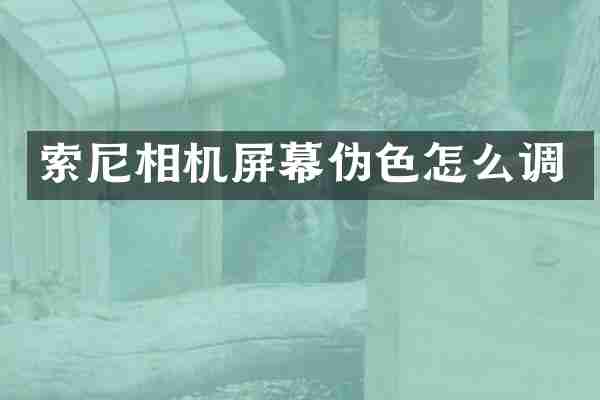 索尼相机屏幕伪色怎么调