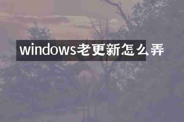windows老更新怎么弄