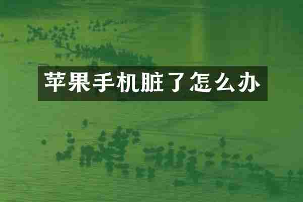 苹果手机脏了怎么办