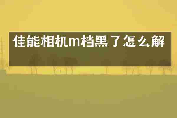 佳能相机m档黑了怎么解决