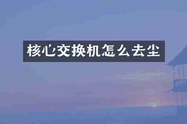 核心交换机怎么去尘