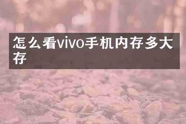 怎么看vivo手机内存多大内存