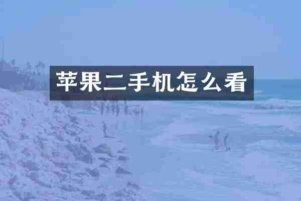 苹果二手机怎么看