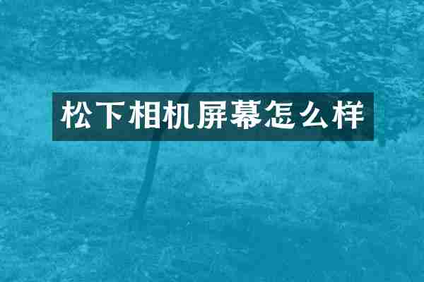 相机屏幕怎么样