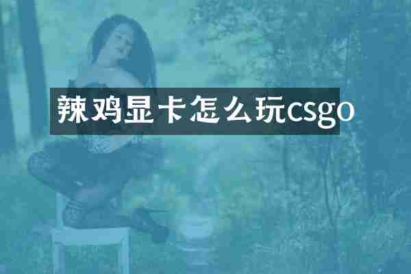 辣鸡显卡怎么玩csgo