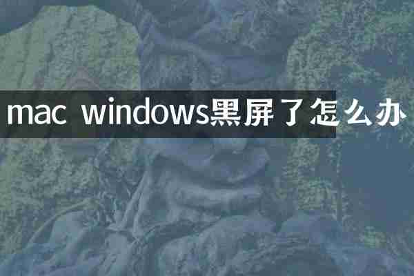 mac windows黑屏了怎么办