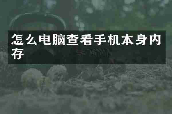 怎么电脑查看手机本身内存