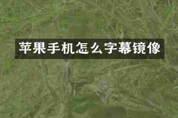 苹果手机怎么字幕镜像