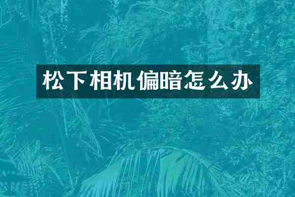 松下相机偏暗怎么办