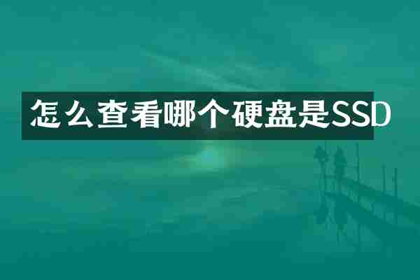 怎么查看哪个硬盘是SSD