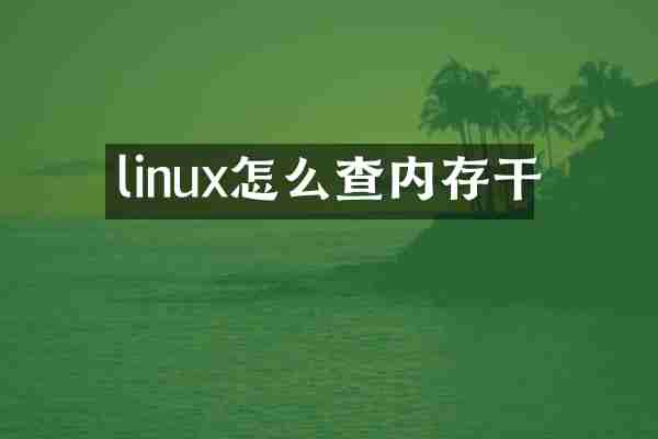 linux怎么查内存干