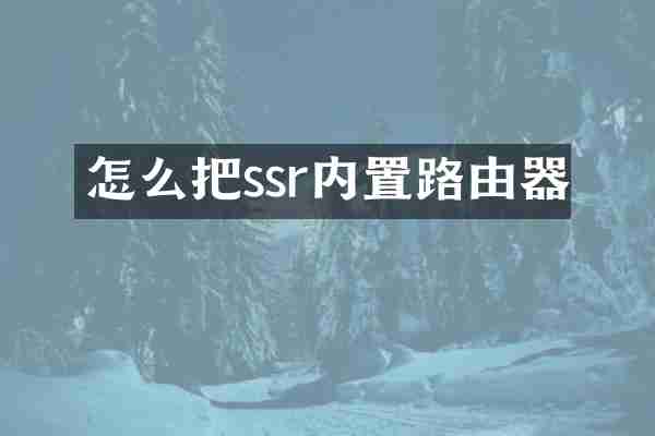 怎么把ssr内置路由器