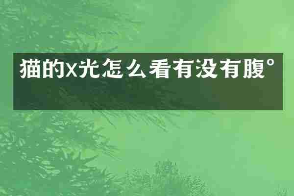 猫的x光怎么看有没有腹水