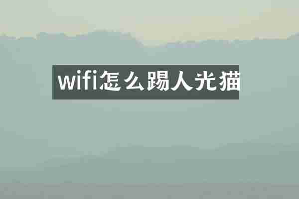 wifi怎么踢人光猫
